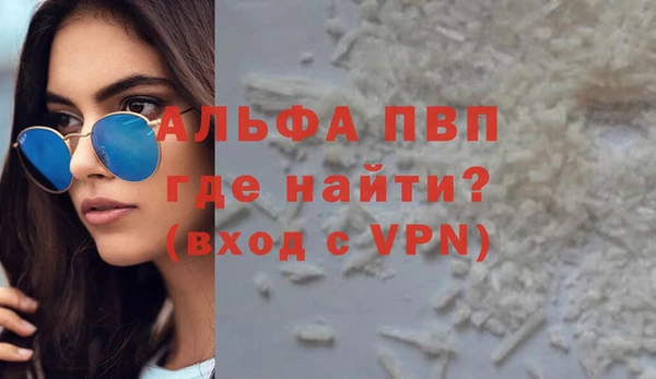 стаф Белокуриха