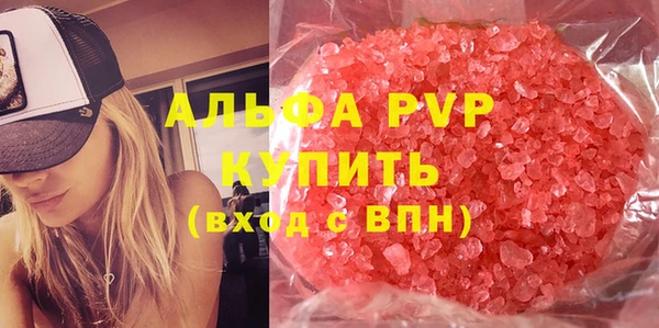 стаф Белокуриха
