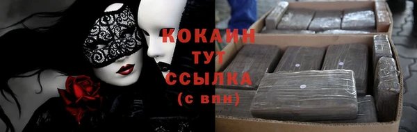 стаф Белокуриха