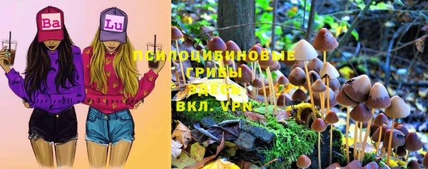 прущая мука Белоозёрский