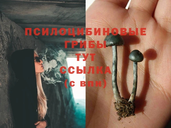 прущая мука Белоозёрский