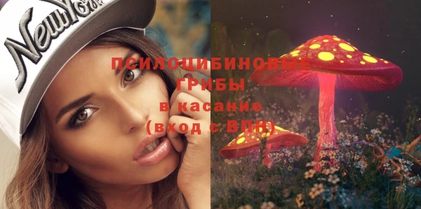 эйфоретик Беломорск
