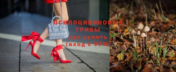 эйфоретик Беломорск