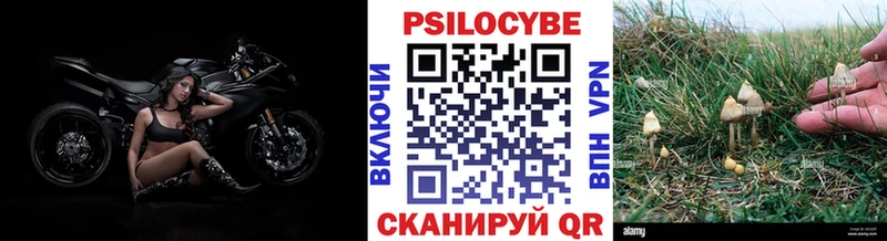 Галлюциногенные грибы Psilocybine cubensis Дагестанские Огни
